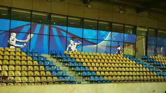 爱游戏体育官方网站-巴西青训体系持续投入，未来足球天才持续涌现